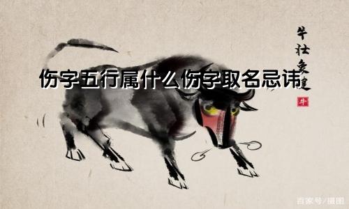 伤字五行属什么伤字取名忌讳