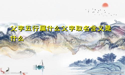 父字五行属什么父字取名含义是什么
