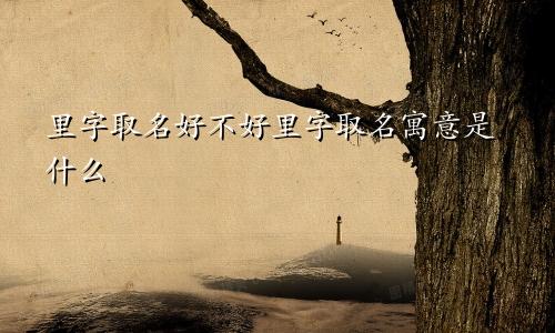 里字取名好不好里字取名寓意是什么