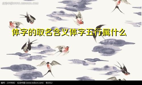 体字的取名含义体字五行属什么