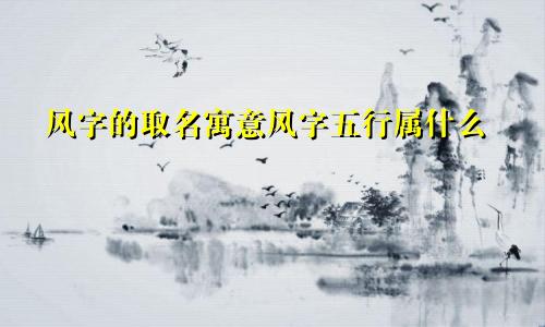 风字的取名寓意风字五行属什么