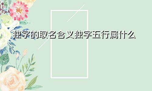独字的取名含义独字五行属什么