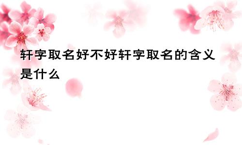 轩字取名好不好轩字取名的含义是什么