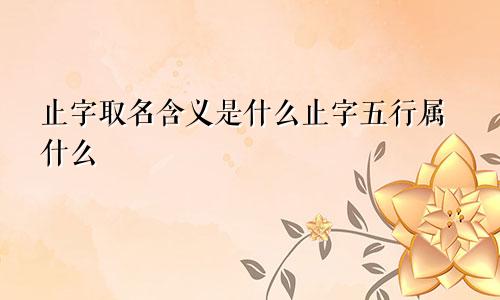 止字取名含义是什么止字五行属什么