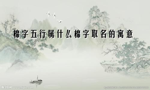 棉字五行属什么棉字取名的寓意