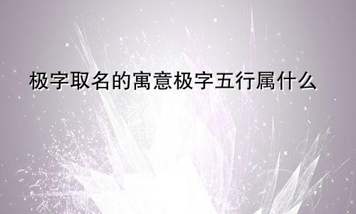 极字取名的寓意极字五行属什么