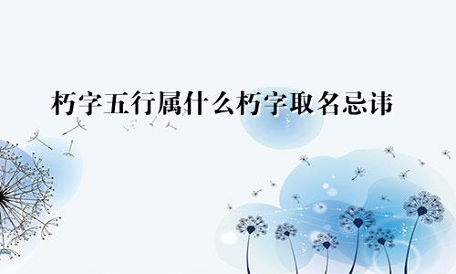 朽字五行属什么朽字取名忌讳