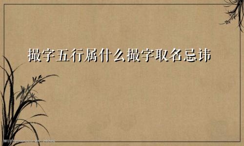撮字五行属什么撮字取名忌讳