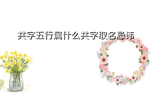 共字五行属什么共字取名忌讳