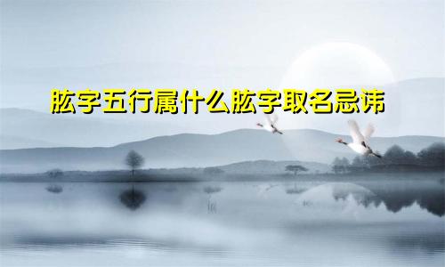 肱字五行属什么肱字取名忌讳