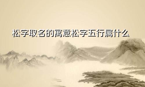 松字取名的寓意松字五行属什么