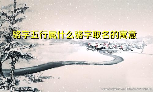 骆字五行属什么骆字取名的寓意
