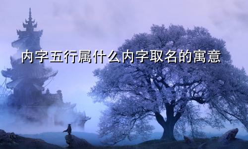 内字五行属什么内字取名的寓意