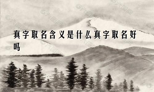 真字取名含义是什么真字取名好吗