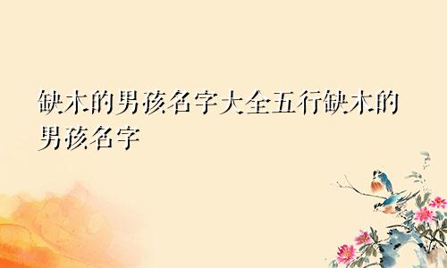 缺木的男孩名字大全五行缺木的男孩名字