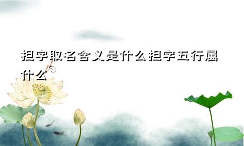 担字取名含义是什么担字五行属什么