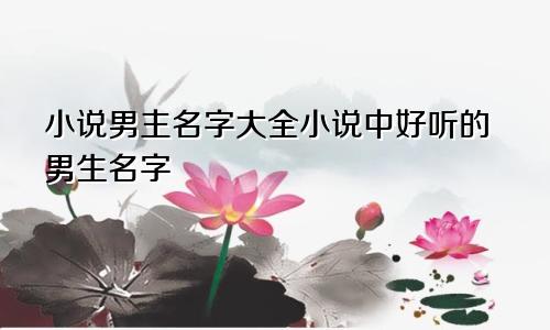 小说男主名字大全小说中好听的男生名字