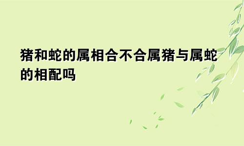 猪和蛇的属相合不合属猪与属蛇的相配吗