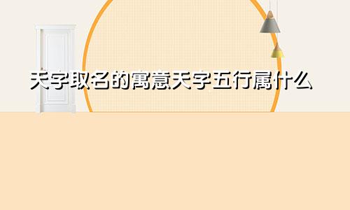 天字取名的寓意天字五行属什么