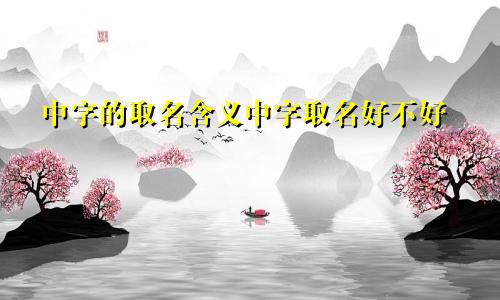 中字的取名含义中字取名好不好