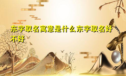 东字取名寓意是什么东字取名好不好