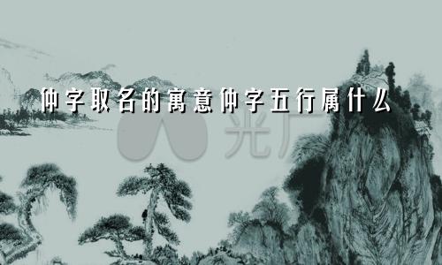 仲字取名的寓意仲字五行属什么
