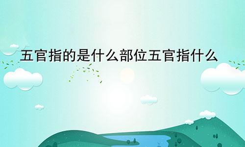 五官指的是什么部位五官指什么