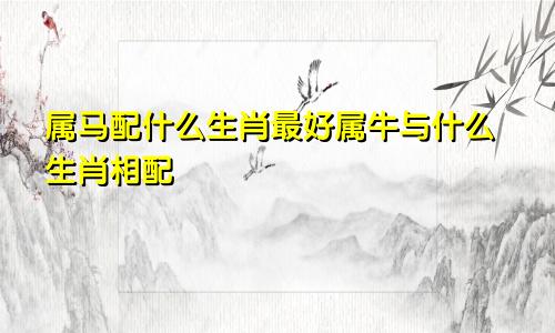 属马配什么生肖最好属牛与什么生肖相配