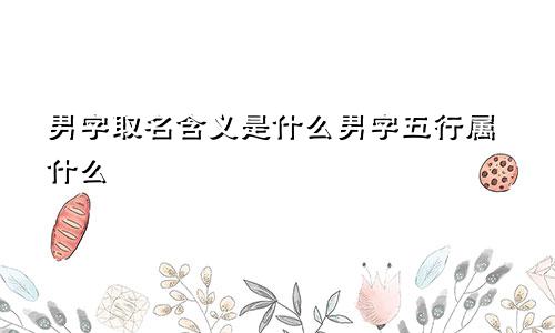 男字取名含义是什么男字五行属什么