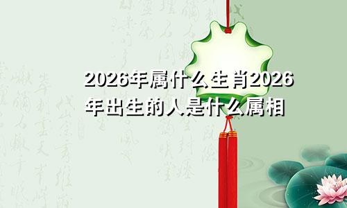 2026年属什么生肖2026年出生的人是什么属相