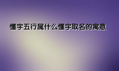 懂字五行属什么懂字取名的寓意