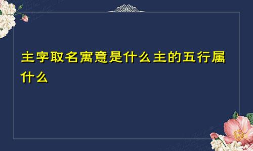 主字取名寓意是什么主的五行属什么