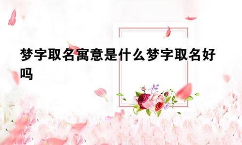 梦字取名寓意是什么梦字取名好吗