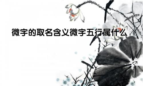 微字的取名含义微字五行属什么