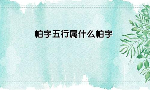 帕字五行属什么帕字