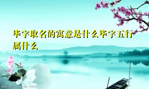 毕字取名的寓意是什么毕字五行属什么