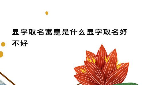 显字取名寓意是什么显字取名好不好