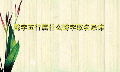 鹜字五行属什么鹜字取名忌讳