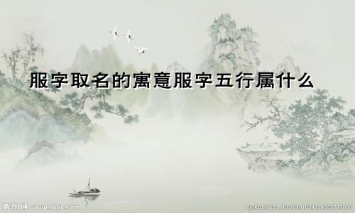 服字取名的寓意服字五行属什么