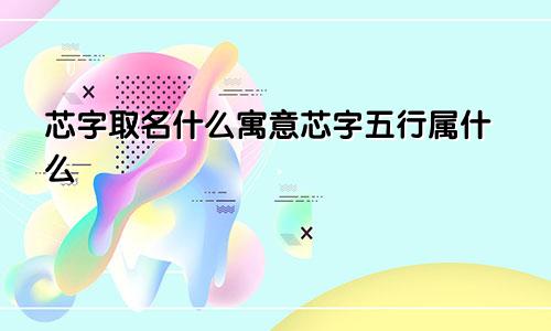 芯字取名什么寓意芯字五行属什么