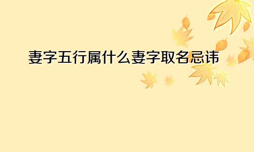 妻字五行属什么妻字取名忌讳