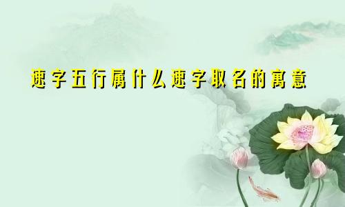 速字五行属什么速字取名的寓意