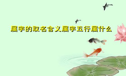 属字的取名含义属字五行属什么