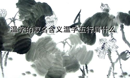 温字的取名含义温字五行属什么