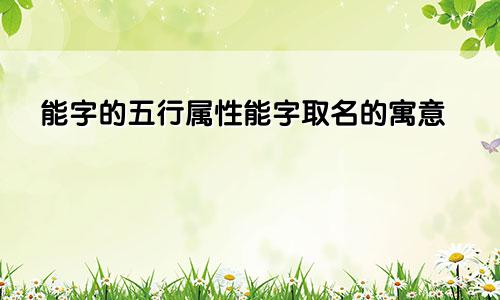 能字的五行属性能字取名的寓意