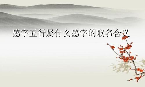 感字五行属什么感字的取名含义