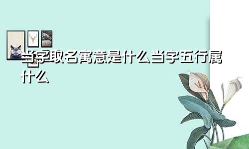 当字取名寓意是什么当字五行属什么