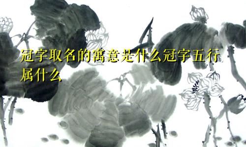 冠字取名的寓意是什么冠字五行属什么