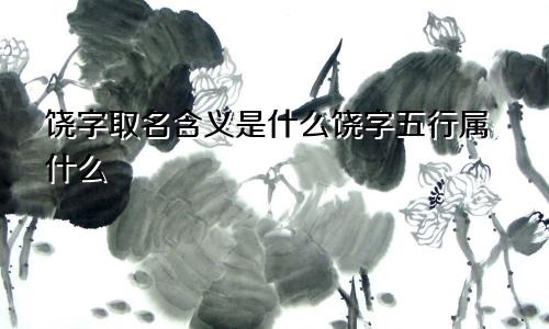 饶字取名含义是什么饶字五行属什么