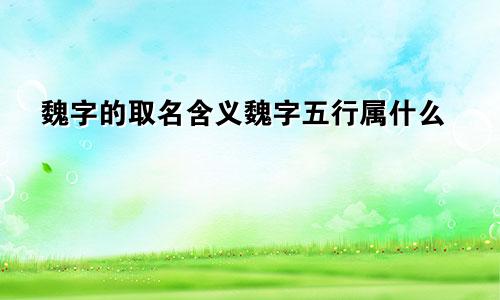 魏字的取名含义魏字五行属什么